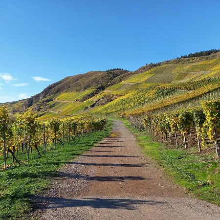 Weingut Henn-schwaab *