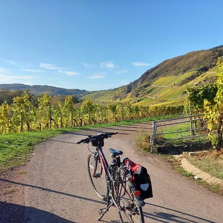 Weingut Henn-schwaab Kinheim