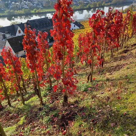 Weingut Henn-schwaab * Kinheim